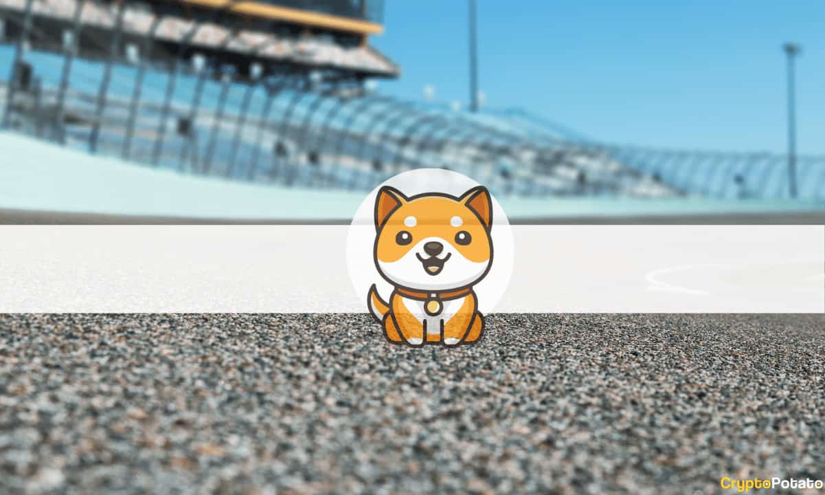 Baby Doge Coin Will Appear on NASCAR Xfinity Series