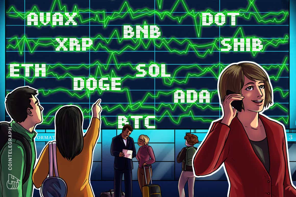 BTC, ETH, BNB, ADA, SOL, XRP, DOT, SHIB, DOGE, AVAX