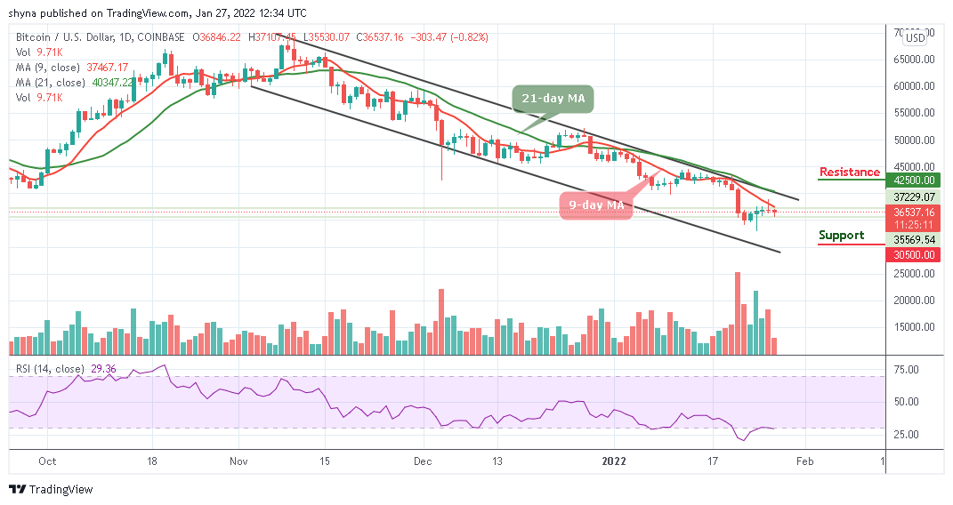 Bitcoin Price Prediction