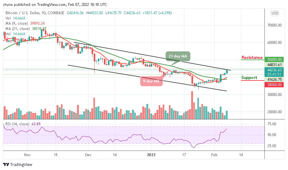 Bitcoin Price Prediction