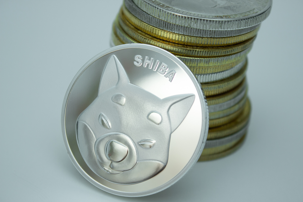 Shiba Inu (SHIB) can actually reach $1