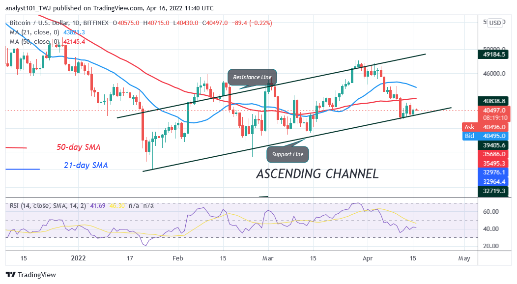     Bitcoin Price Prediction for Today April 16: Buyers Defend Current Support as BTC Hovers Above $40K