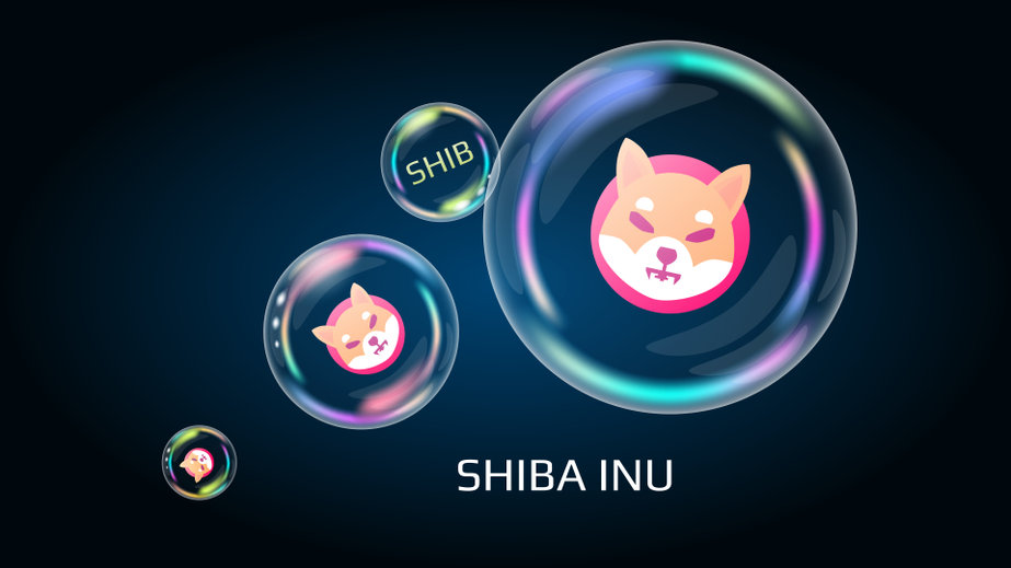 Shiba Inu (SHIB) could double your money in the near term