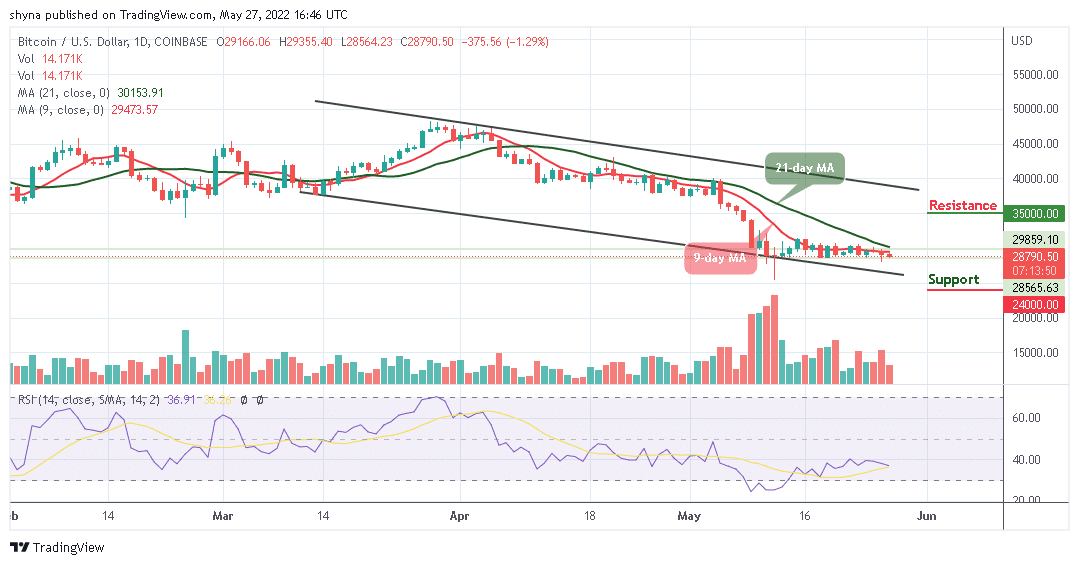 Bitcoin Price Prediction