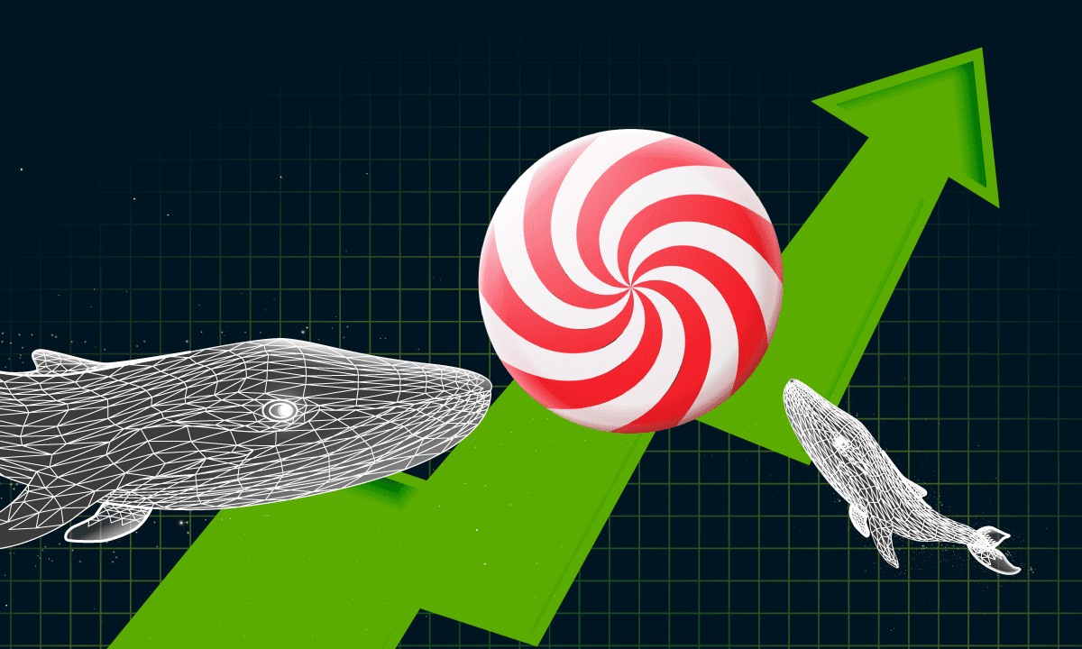 Whales Hold More Than 23% of CandyDEX Tokens