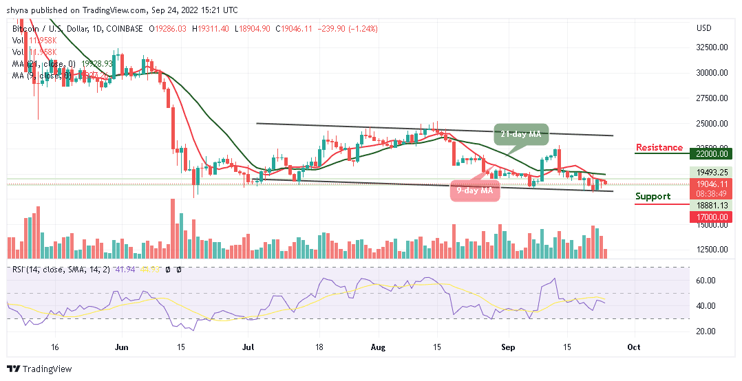 BTC Slides Below $19k as TAMA Pushes Up