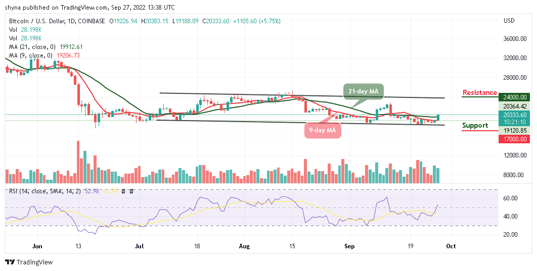 BTC Spikes Above $20,000, TAMA is rated a BUY