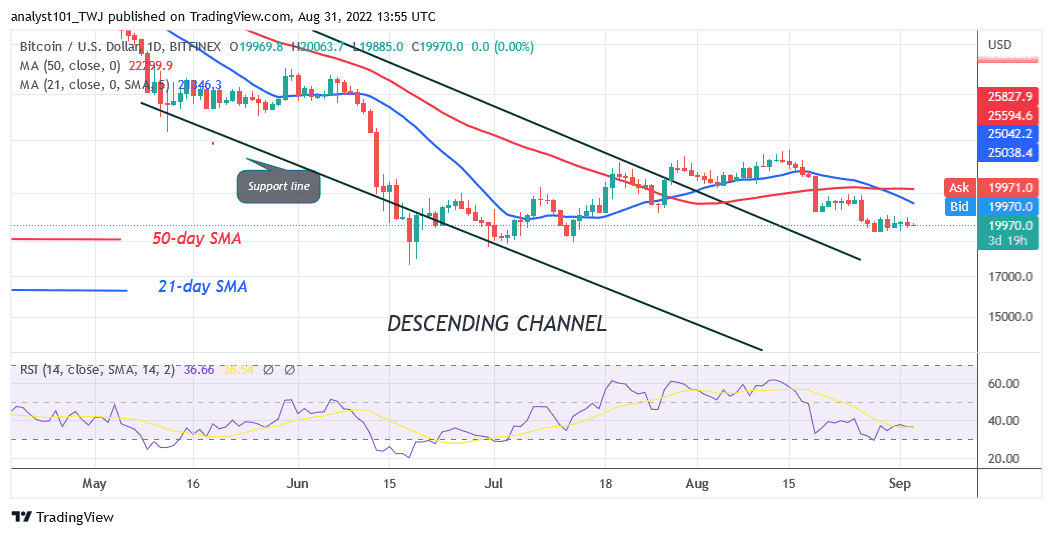 Bitcoin Price Prediction for Today August 31: Sellers Threaten to Short as Buyers Hold $19.5K Support