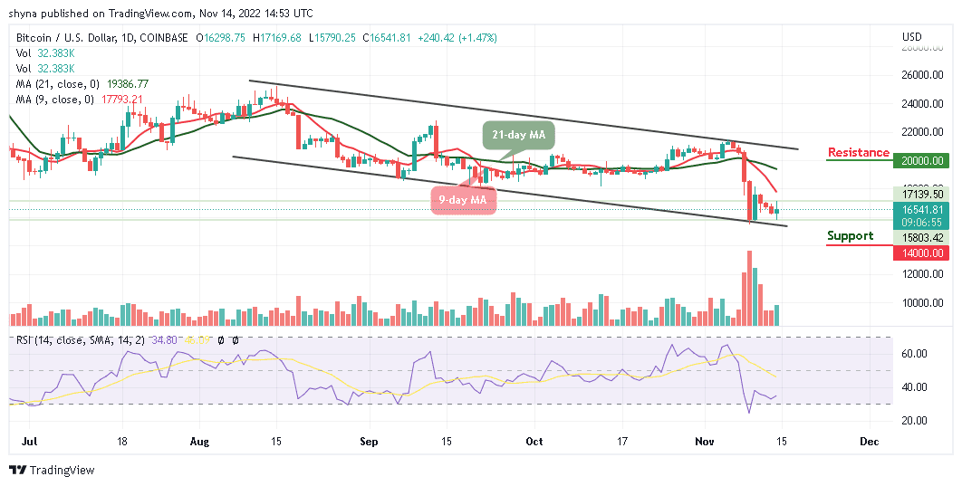 Bitcoin Price Prediction for Today, November 14: BTC/USD Rejects $18k Level