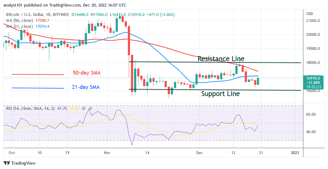 Bitcoin Price Prediction for Today, December 20: BTC Price Slumps and Struggles below $17K