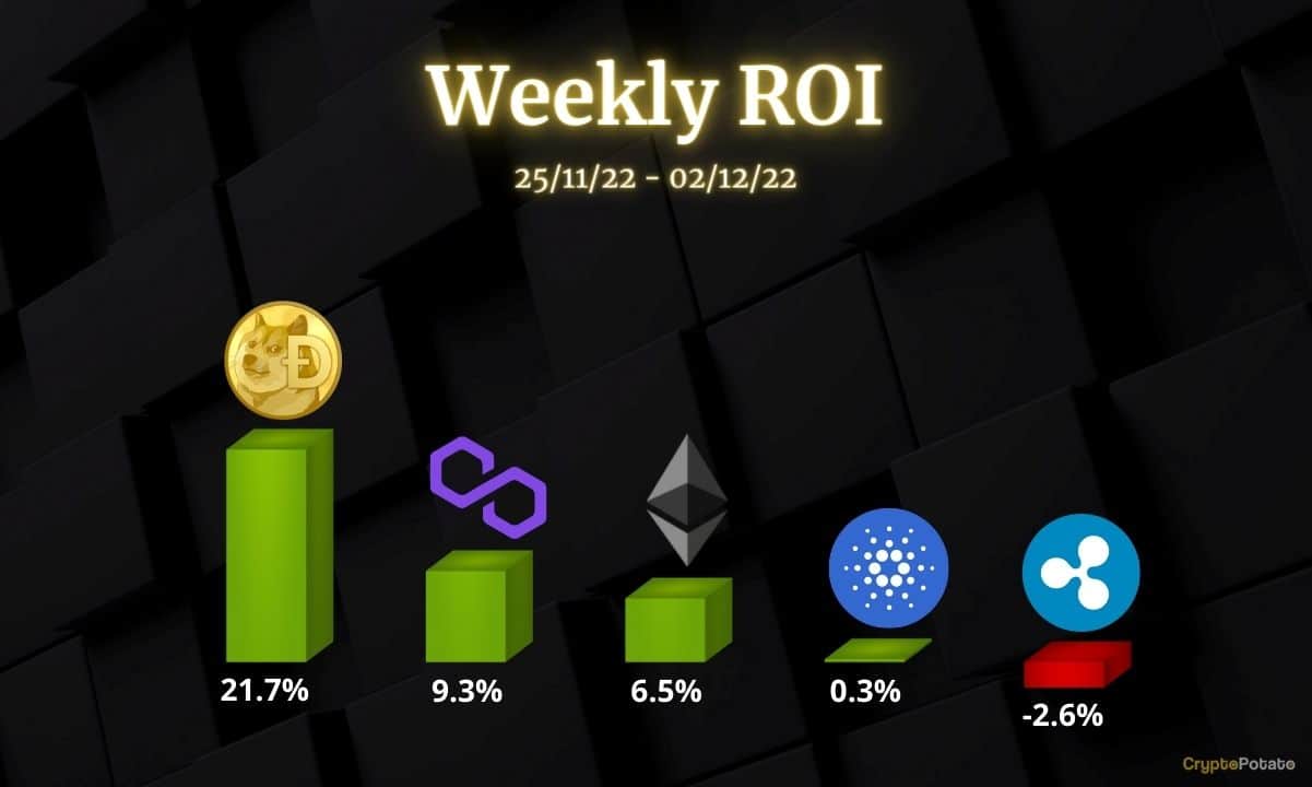 ETH, XRP, ADA, MATIC, and DOGE