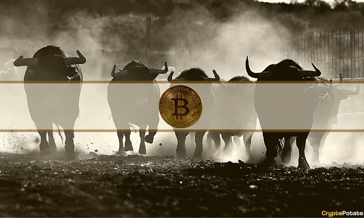 Bitcoin Price Holds Steady at $21K: 4 New Bullish Indicators