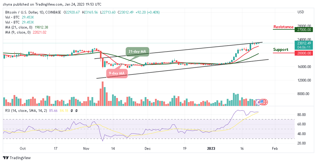 Bitcoin Price Prediction for Today, January 24: BTC/USD Jumps Above $23,000 Level