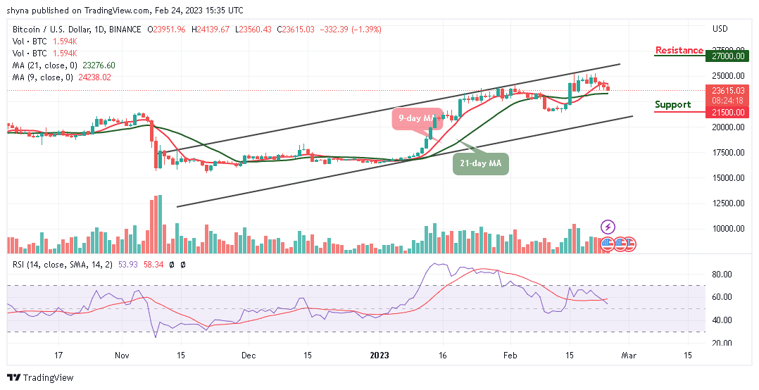 Bitcoin Price Prediction for Today, February 24: BTC/USD Slides Below $24,000 Level