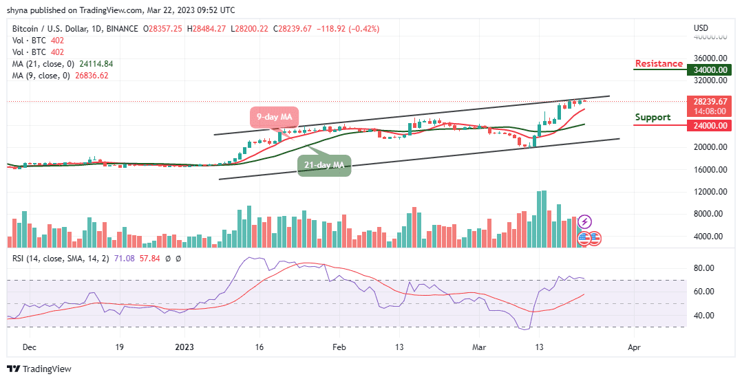 Bitcoin Price Prediction for Today, March 22: BTC/USD Retreats After Touching $28,484