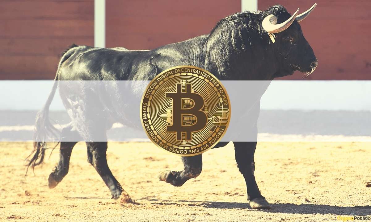 Bitcoin (BTC) Close to Bullish Breakout as Bottom Is in: Glassnode Co-founder