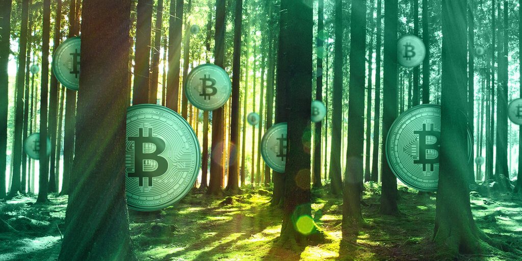 'Unsubstantiated': Expert Refutes Greenpeace Bitcoin Mining Pollution Claims