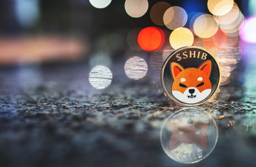 SHIB burn rate soars, PEPE market cap nears $500M, as Memeinator token presale thrives