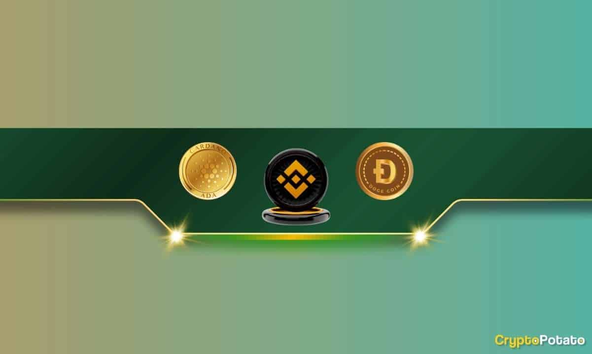 Important Binance Announcement That Concerns Cardano (ADA) and Dogecoin (DOGE) Traders