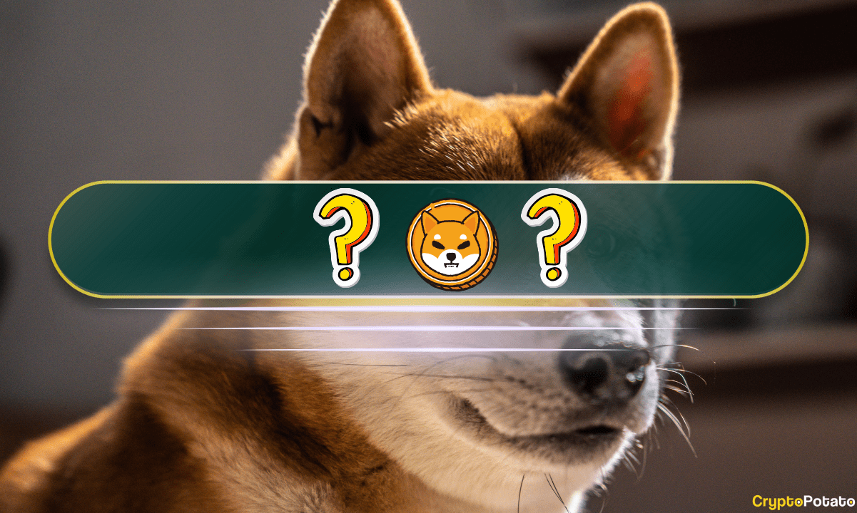 The Best Shiba Inu (SHIB) Alternatives in 2024: Meme Coin Deep Dive