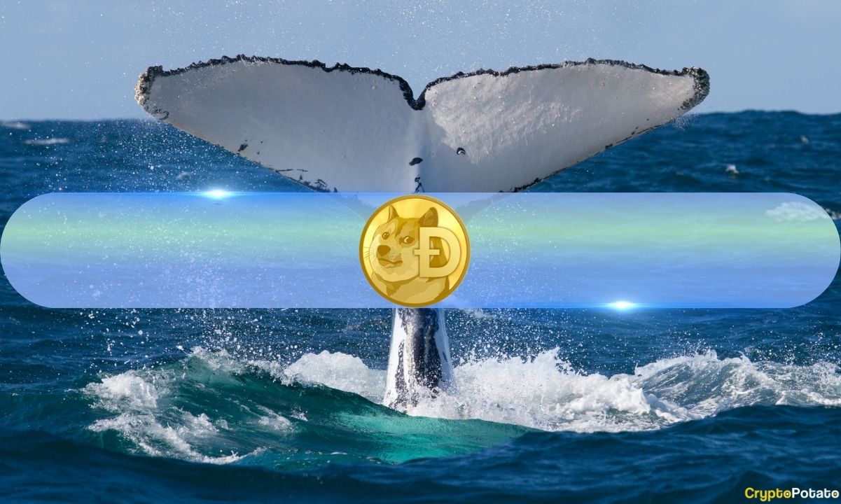 Largest Dogecoin (DOGE) Whales Cut Positions as Retail Investors Gain Ground