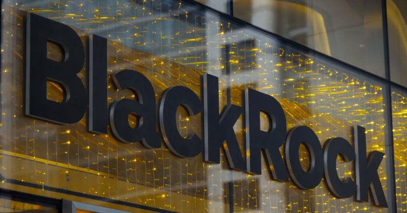 BlackRock holds $78 million in IBIT shares across two investment funds, new filings reveal