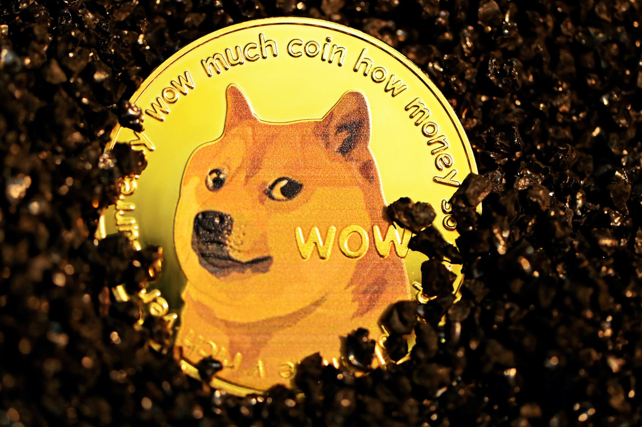 buy dogecoin as doge day helps sentiment