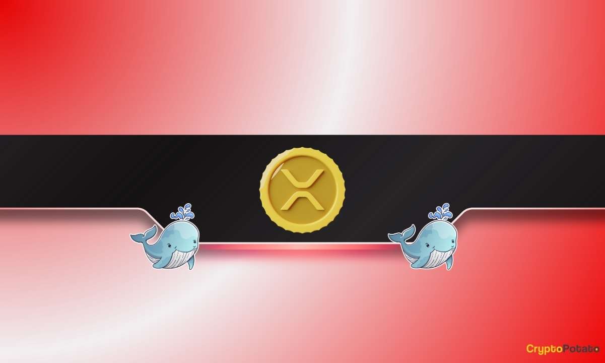 Whales Bought the XRP Dip While DOGE Hits Key Accumulation Zone: Details